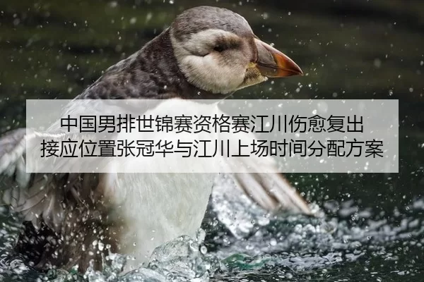 中国男排世锦赛资格赛江川伤愈复出 接应位置张冠华与江川上场时间分配方案